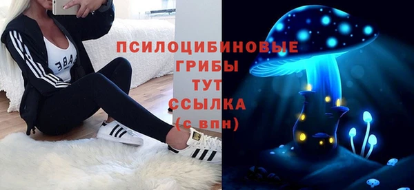 стаф Баксан