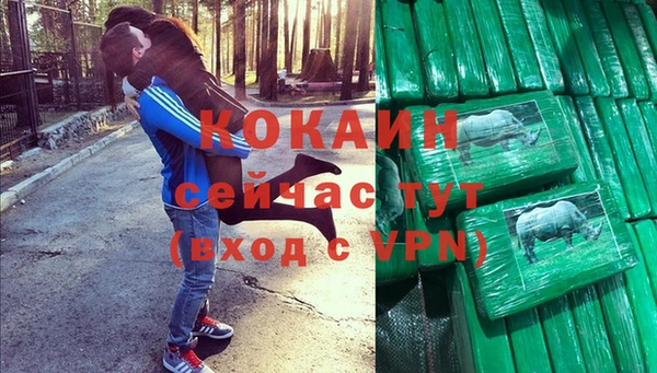 стаф Баксан
