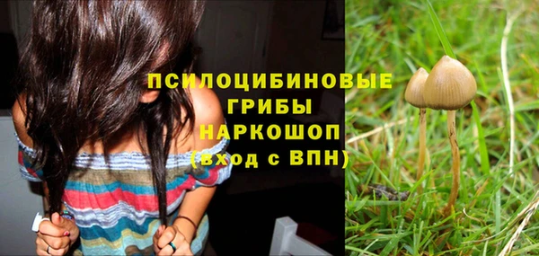 apvp Балабаново