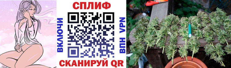 даркнет Telegram  blacksprut как войти  Городец  Бошки Шишки Ganja 